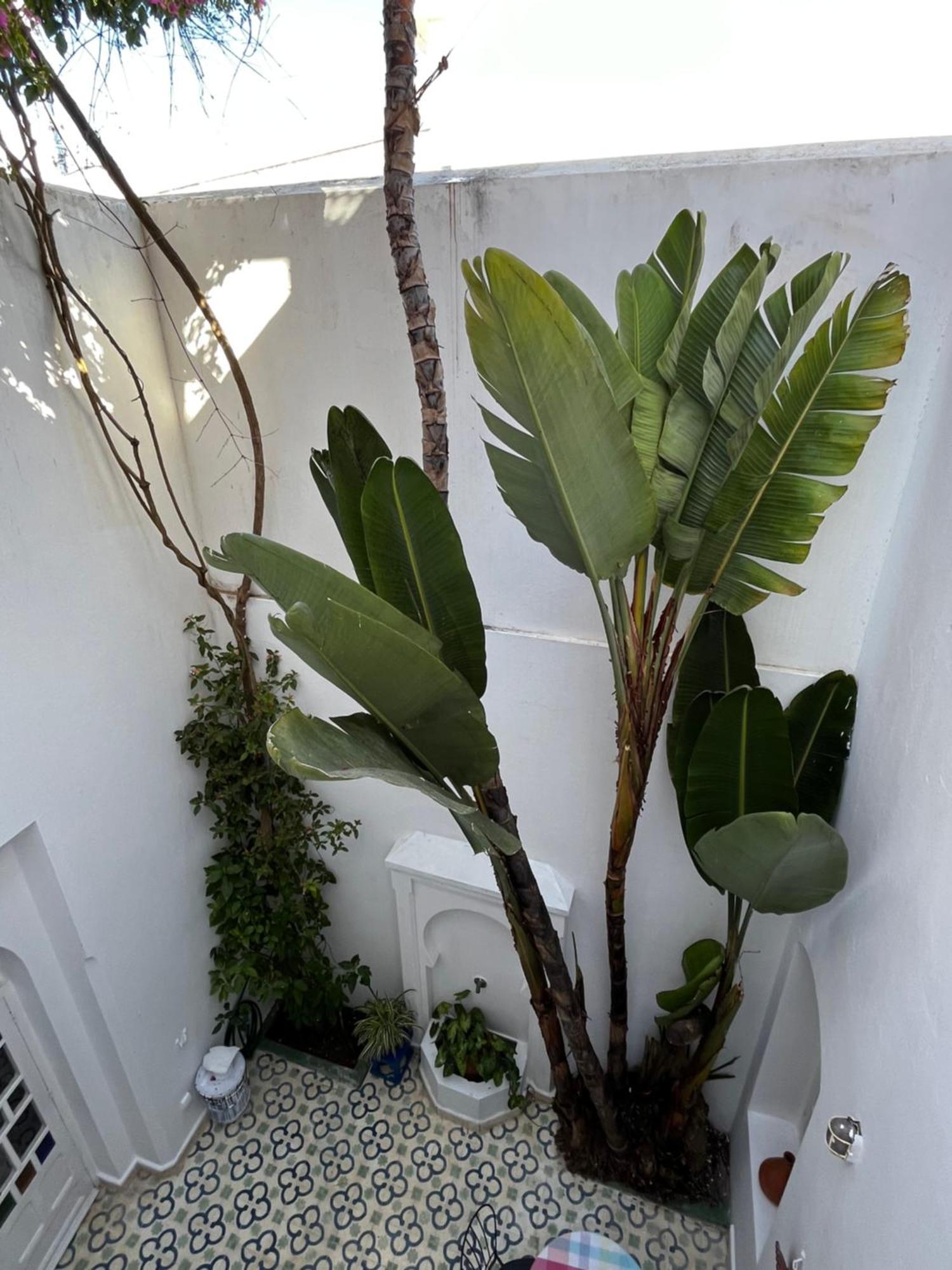 Casabonita Villa Asilah Ruang foto